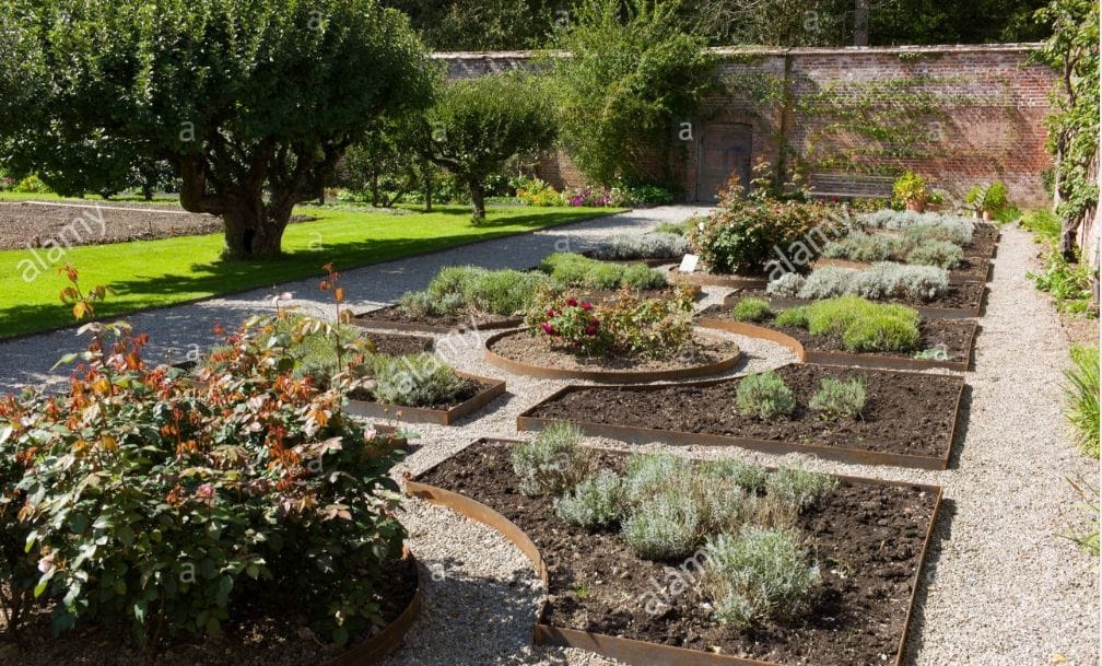 Children from council schools will eat their garden vegetables