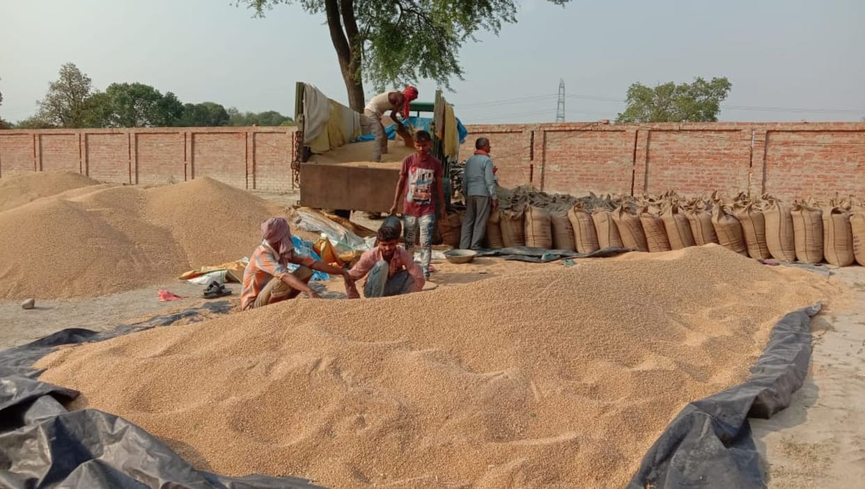 21 crore 77 lakhs trapped of farmers in wheat purchasing centers in fatehpur
