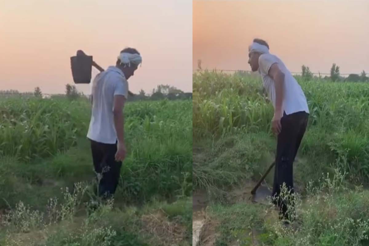 Bollywood stars including Salman khan and Nawazuddin Siddiqui spend time doing Farming in Lockdown during Covid 19 Pandemic