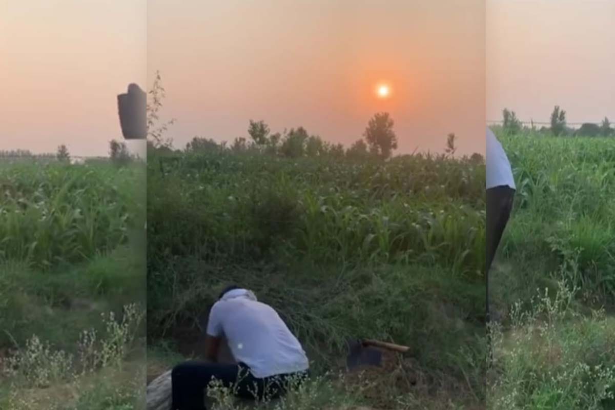 Actor Nawazuddin Siddiqui, who is running a shovel in the fields as a farmer