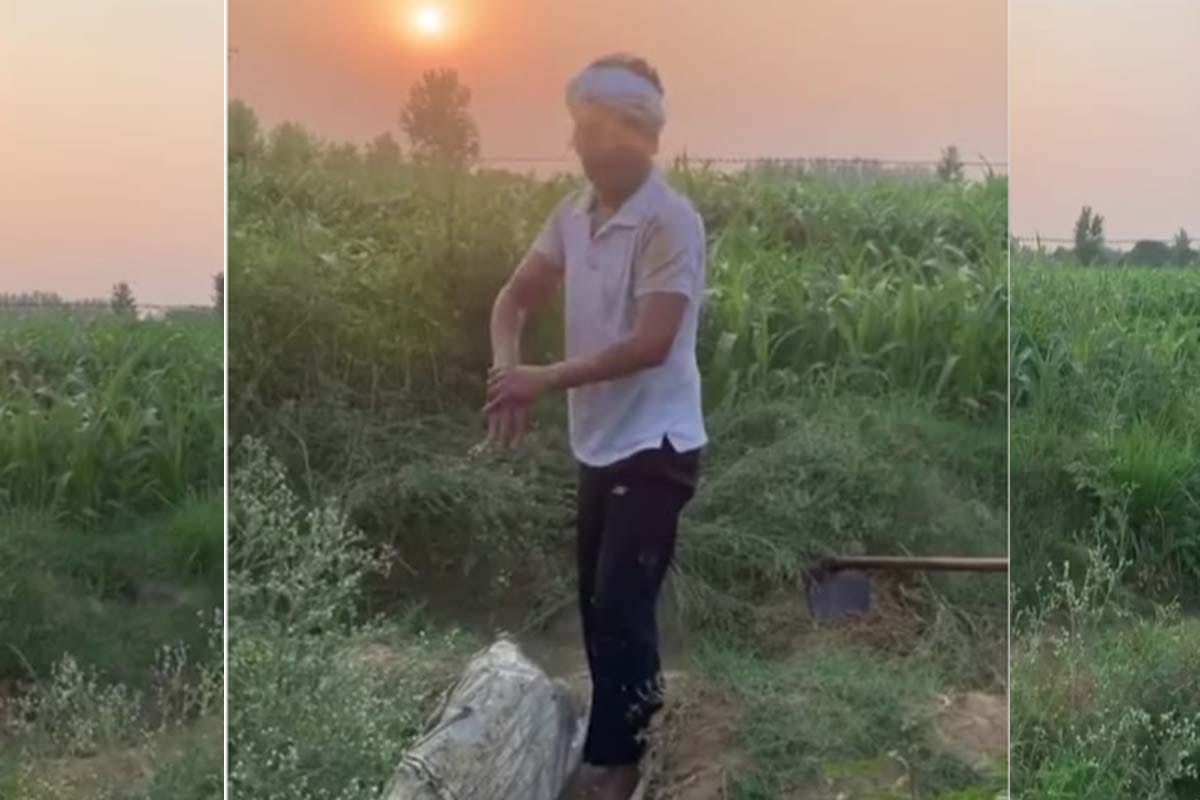 Actor Nawazuddin Siddiqui, who is running a shovel in the fields as a farmer