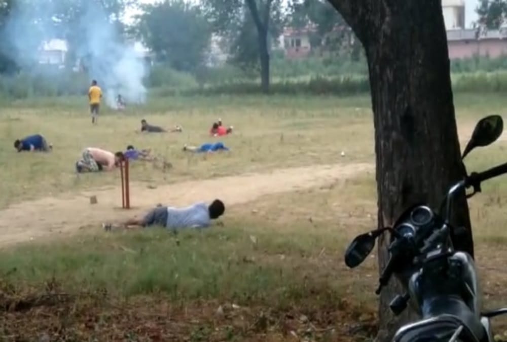 Bees Attack on Many youth during playing cricket in Roorkee, See Photos