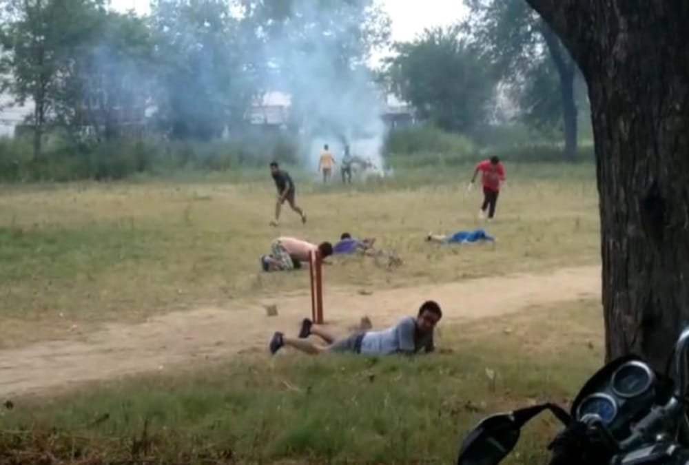 Bees Attack on Many youth during playing cricket in Roorkee, See Photos