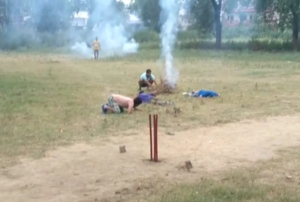 Bees Attack on Many youth during playing cricket in Roorkee, See Photos