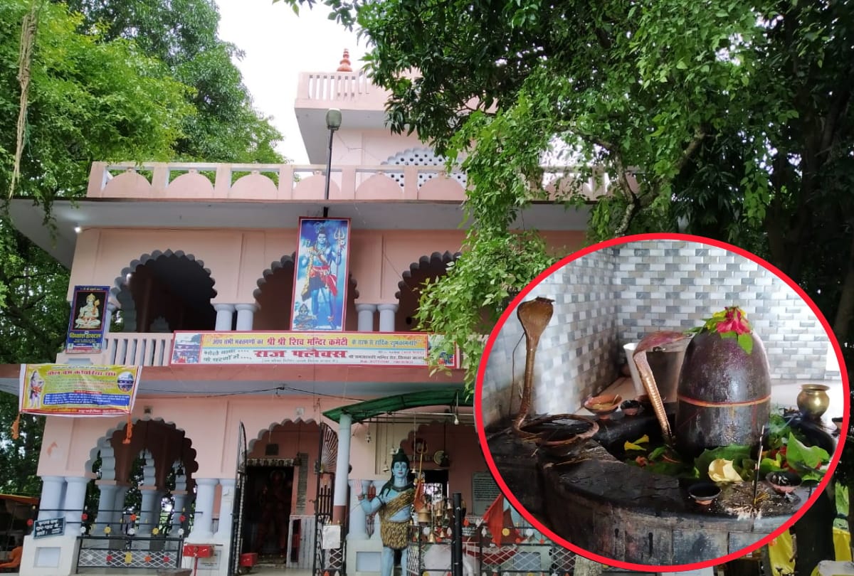 special story of Baurahawa Baba Mandir Temples in Maharajganj news