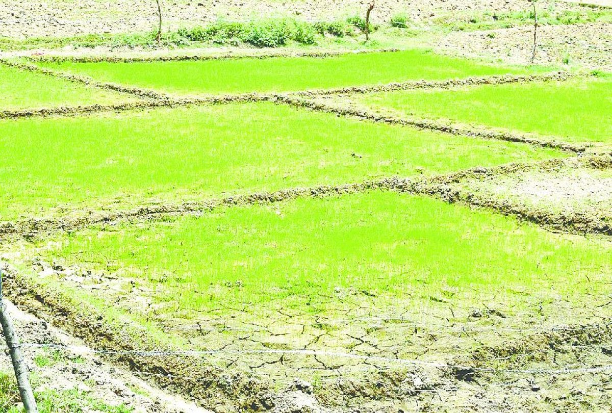 Monsoon Rain Hits Mainpuri Today Weather Forecast
