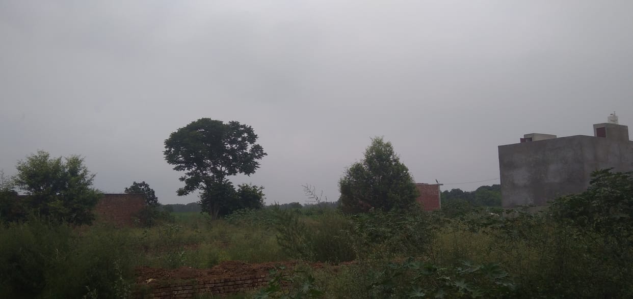 Cloudy from morning to afternoon, it did not rain