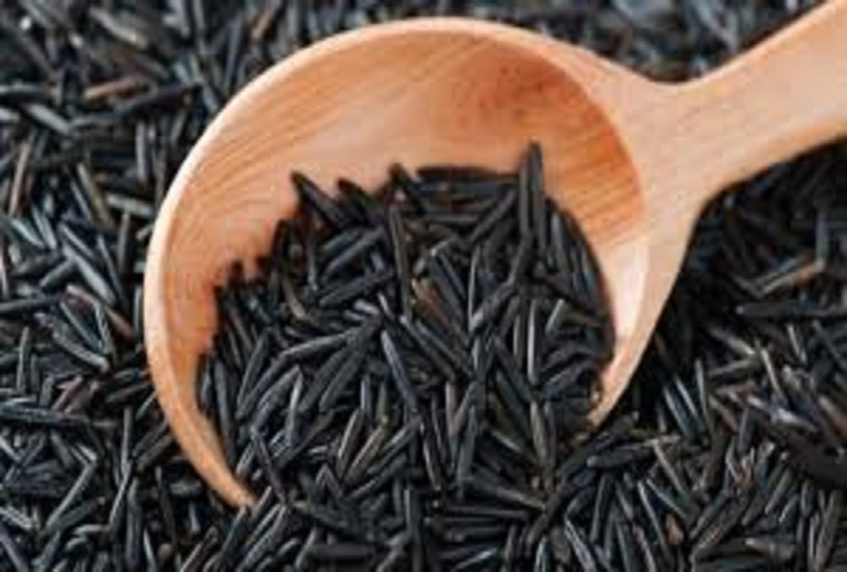 Agriculture news: Black rice paddy - will not increase blood pressure and sugar
