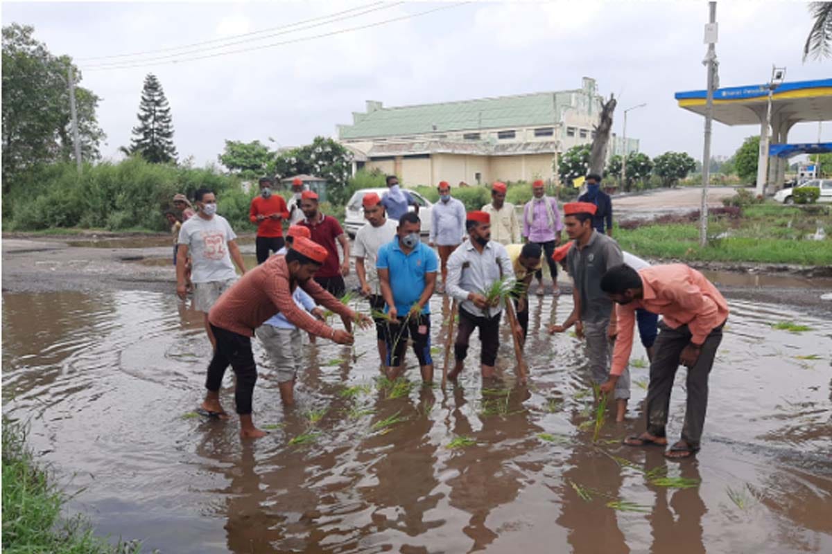 SP workers protested by planting paddy in a bumpy road in Meerut, Waterlogging became a scourge for the village