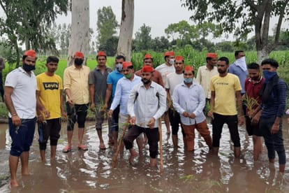 SP workers protested by planting paddy in a bumpy road in Meerut, Waterlogging became a scourge for the village