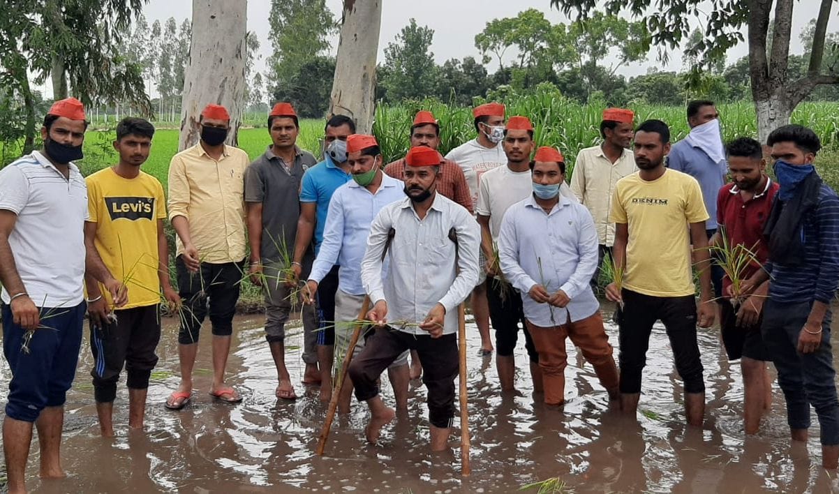 the watering in hiogway before two year, sp party members  roping the paddy