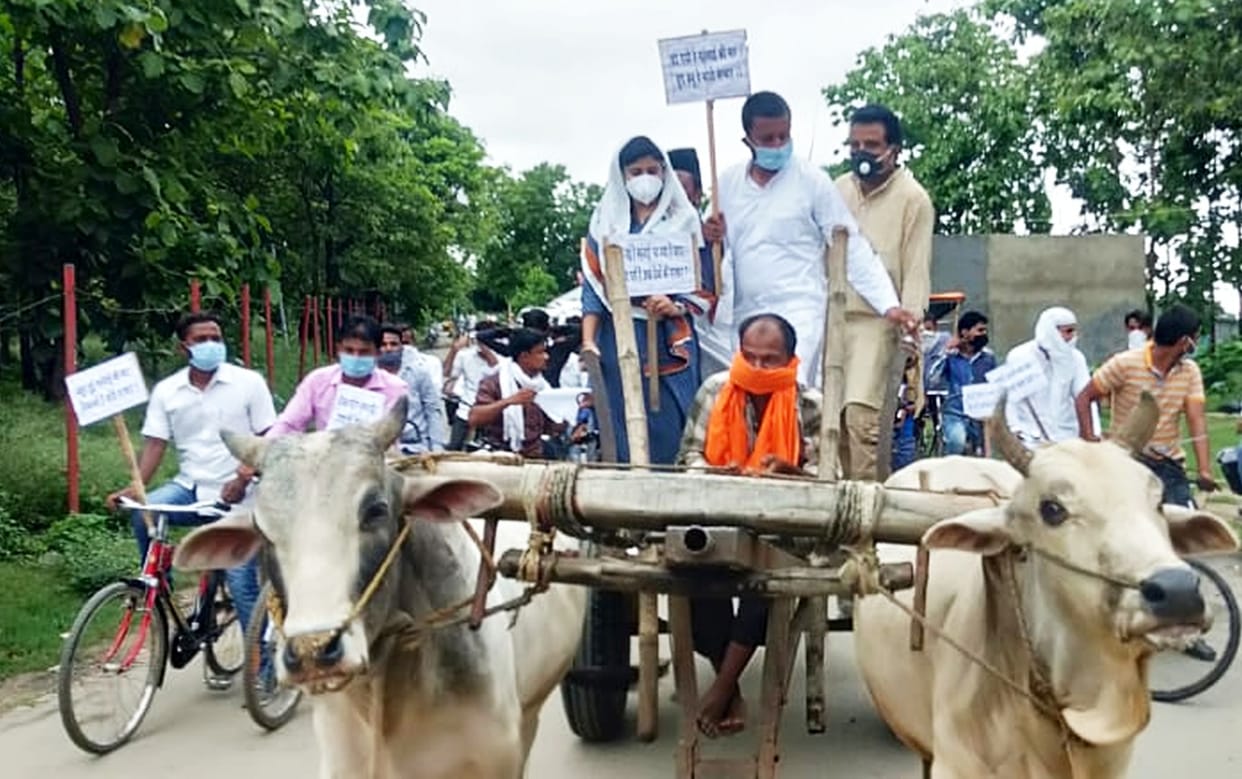 Reached to collectrate with bullock cart protest against petroleum price hike