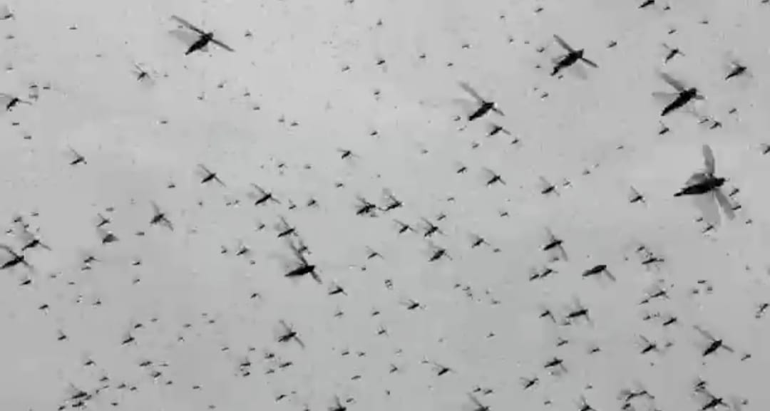 Locust party attacked in the district, farmers were scared