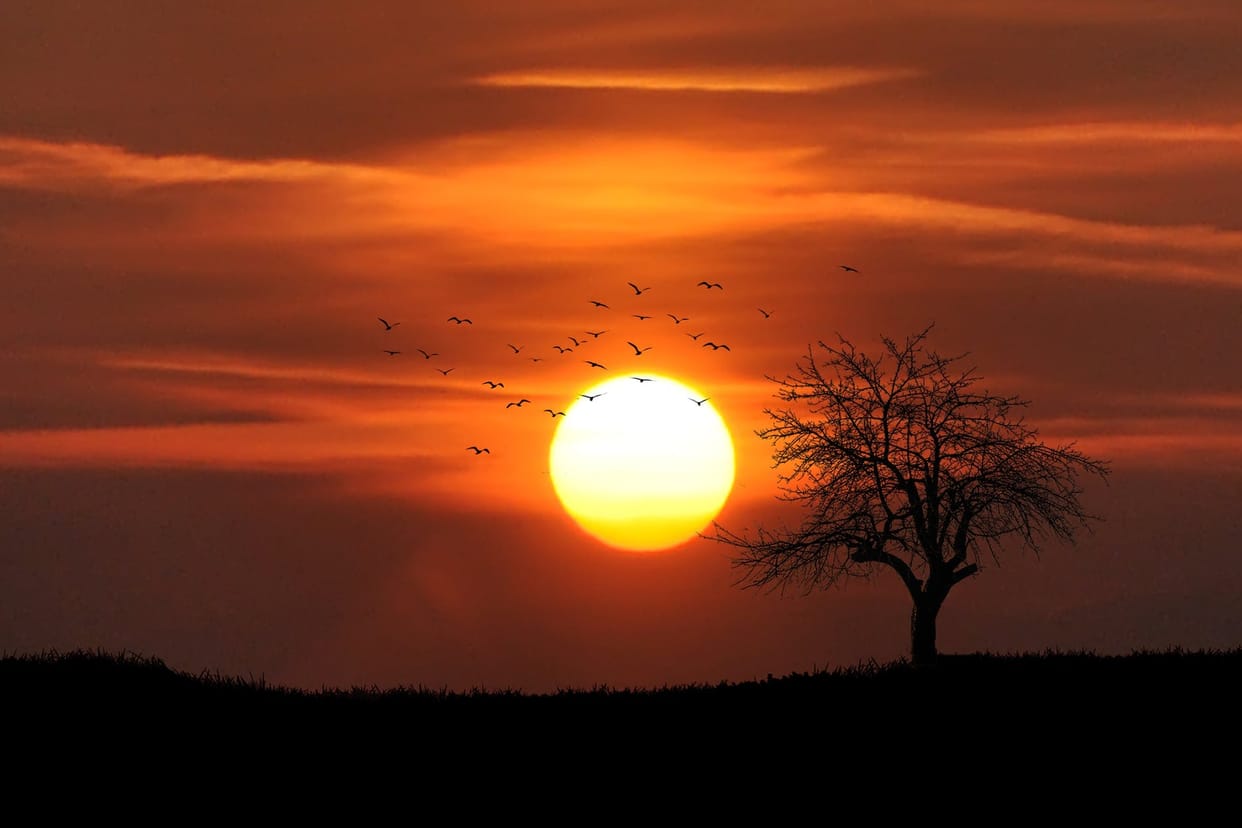best places to watch sunrise in India