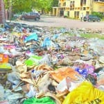 सड़क किनारे कूड़ा