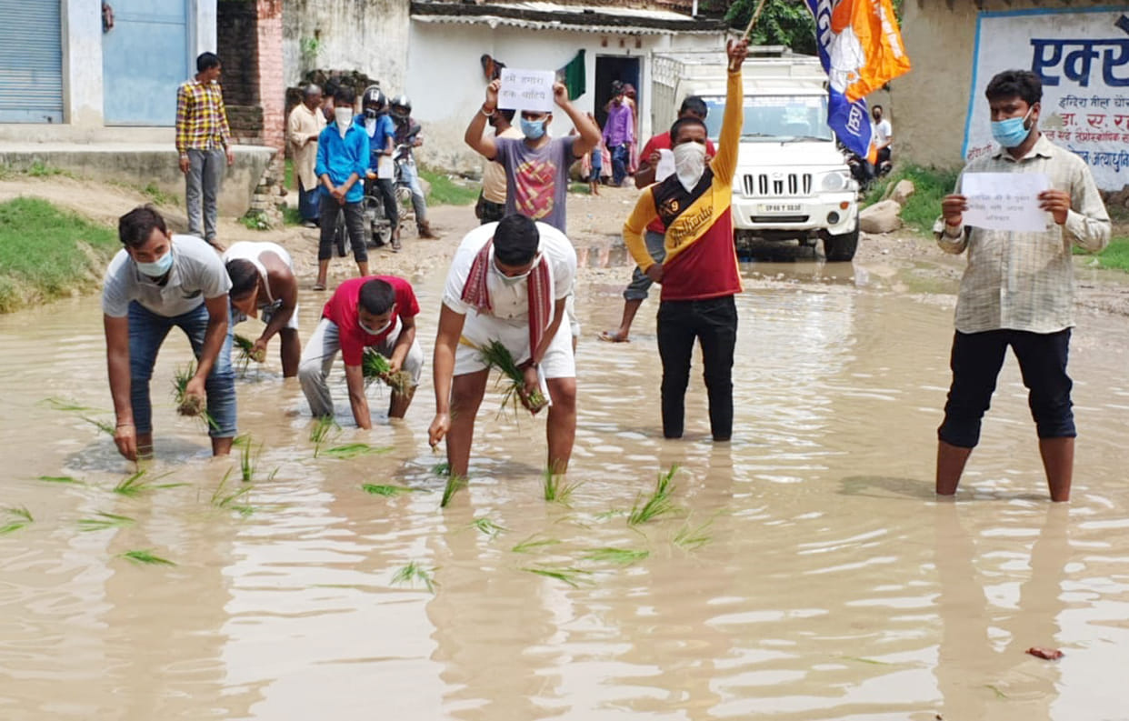 Paddy planted in the pits of Revada Marg