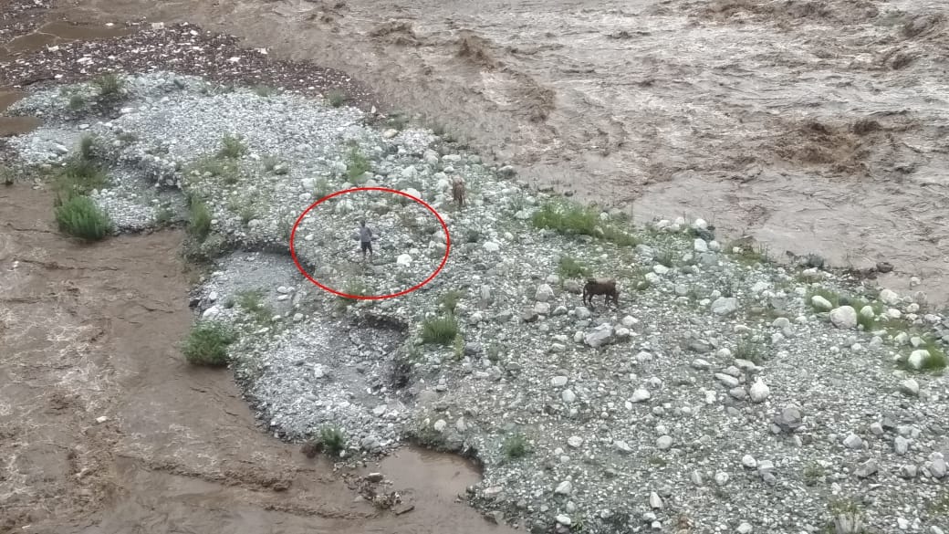 nainital news: water lever increased in kosi river, man stuck between river