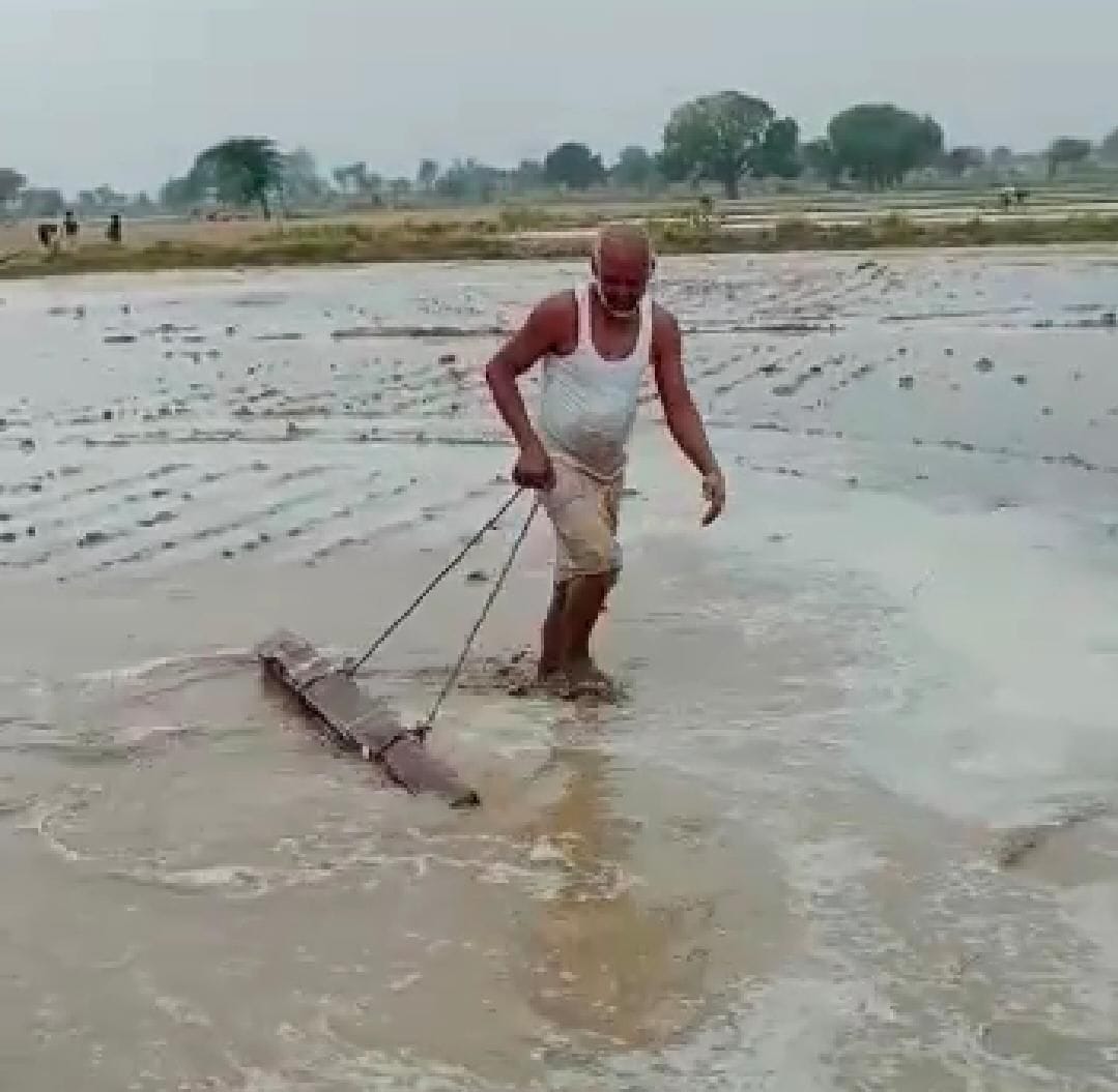 agriculchure, farmer, deiseal, mathura