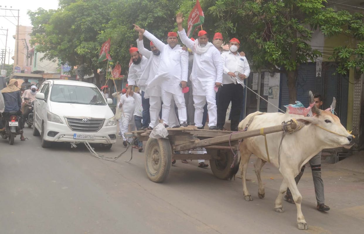 Bulls and bullies tied up a car and took out a protest march