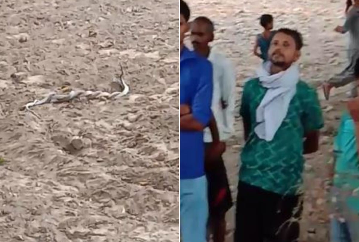 naag nagin love dance video viral in firozabad