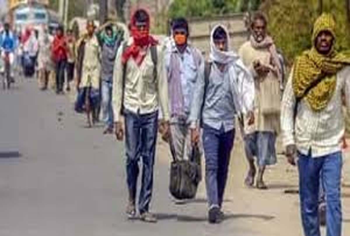 Migrants started getting employment