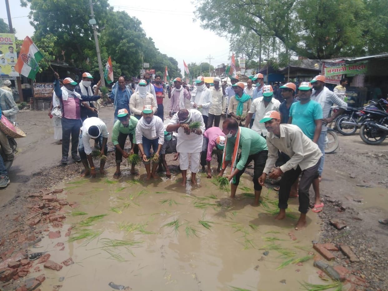 Congressmen planted paddy on bad highway