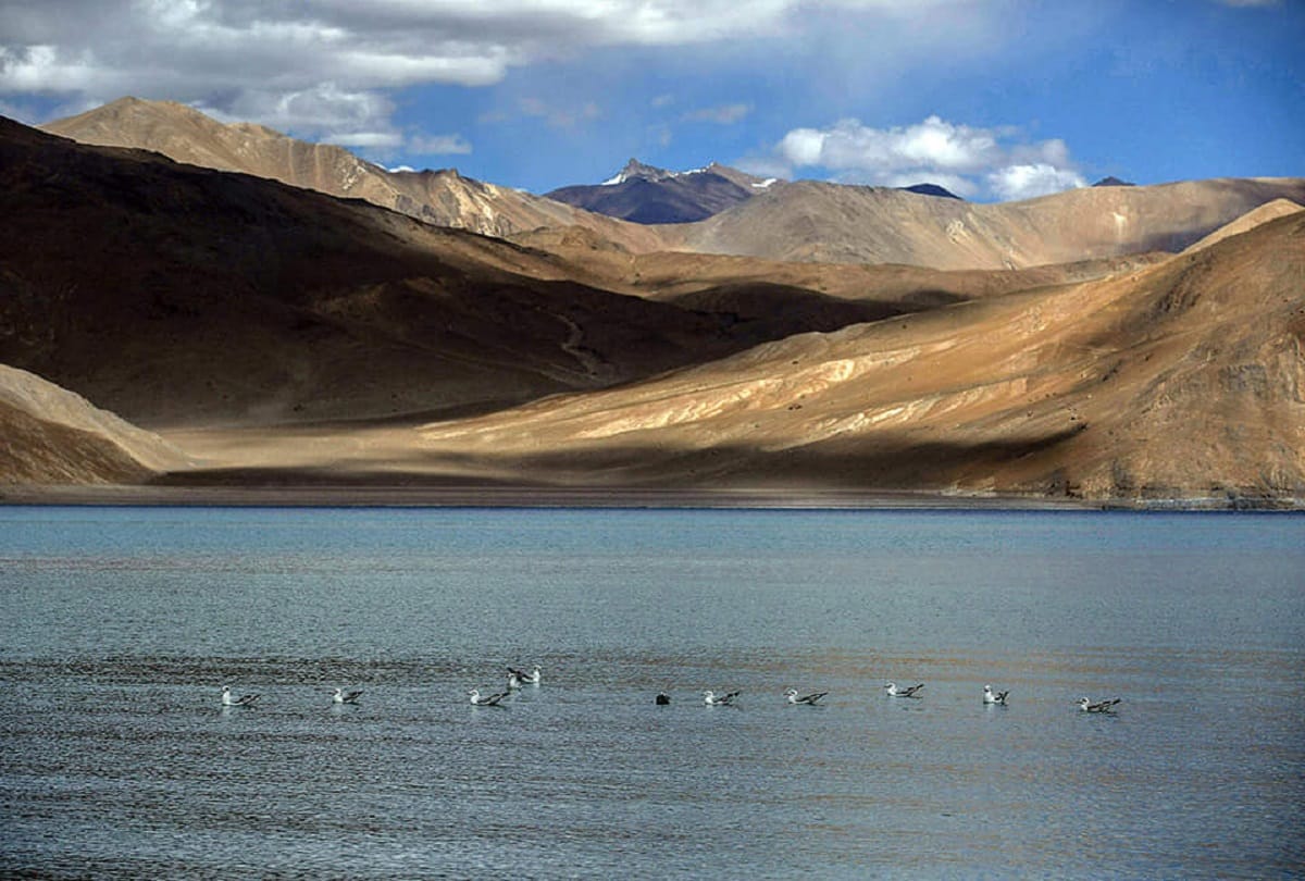 India China Border tension: Apex China Study Group reviews East Ladakh situation
