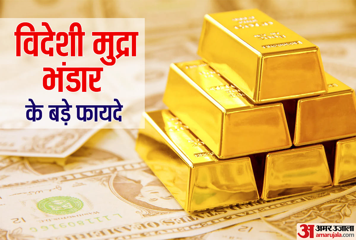 Foreign Exchange Reserves at record high know how it will benefit India