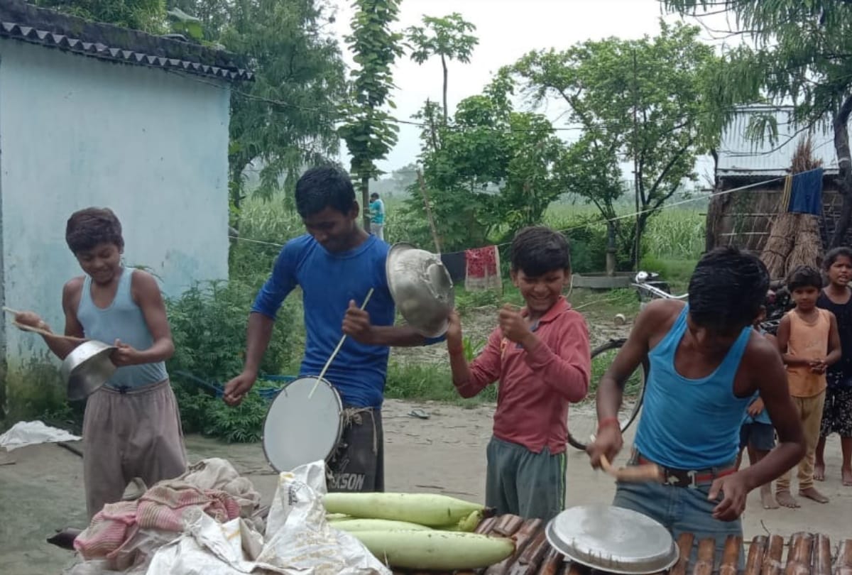 Farmers troubled by Pakistani Locust attack continues in Gorakhpur-Basti division