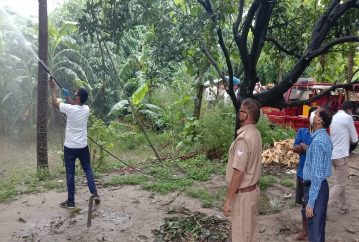 Farmers troubled by Pakistani Locust attack continues in Gorakhpur-Basti division