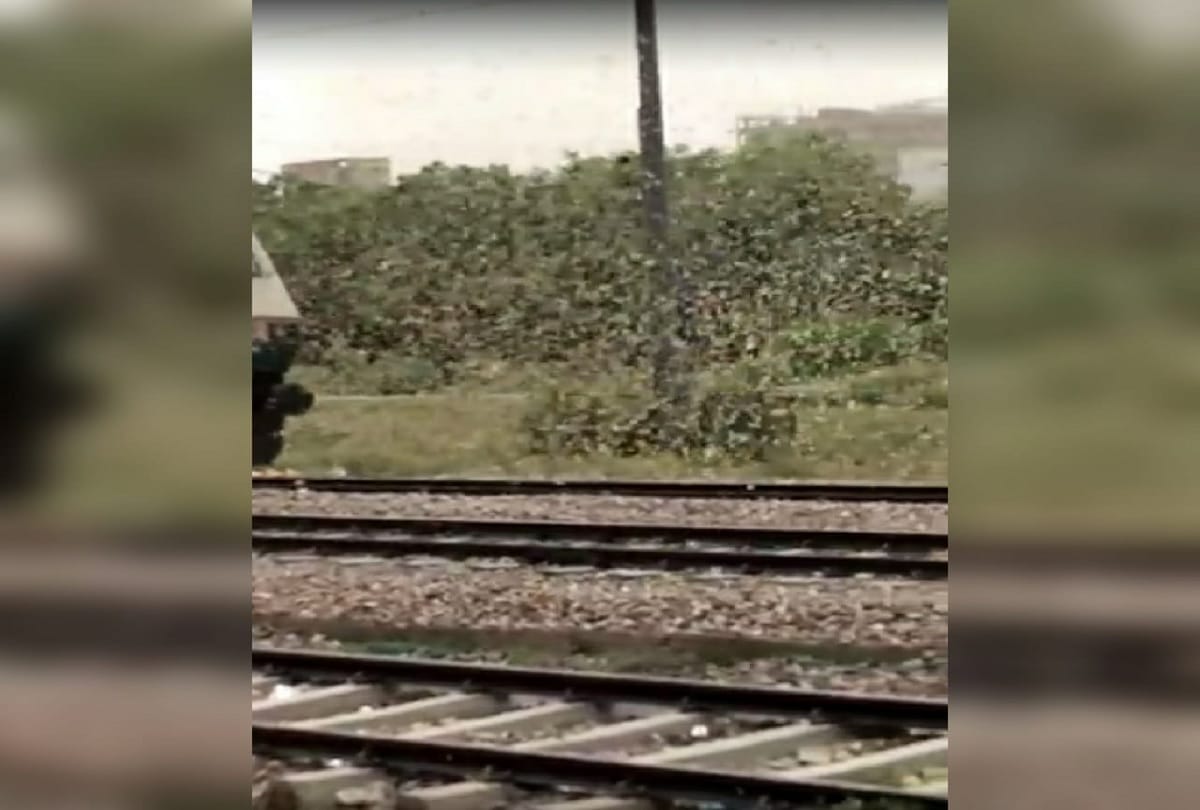Gurugram people backfires locust swarm seen in district to protest there farms trees and plants
