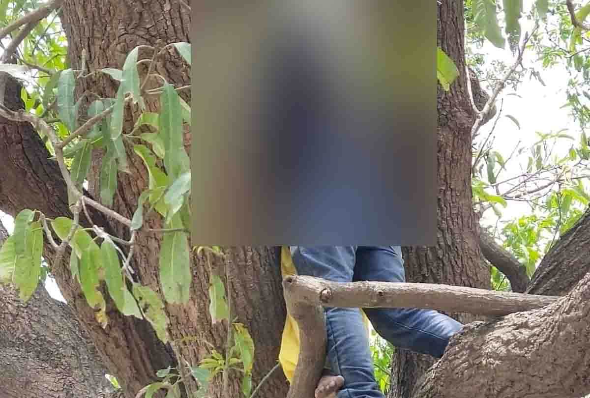 Cousin brother sister hanged, family refused to marriage