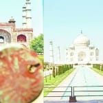 ताजमहल