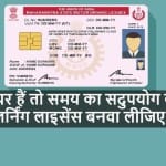 learning licence