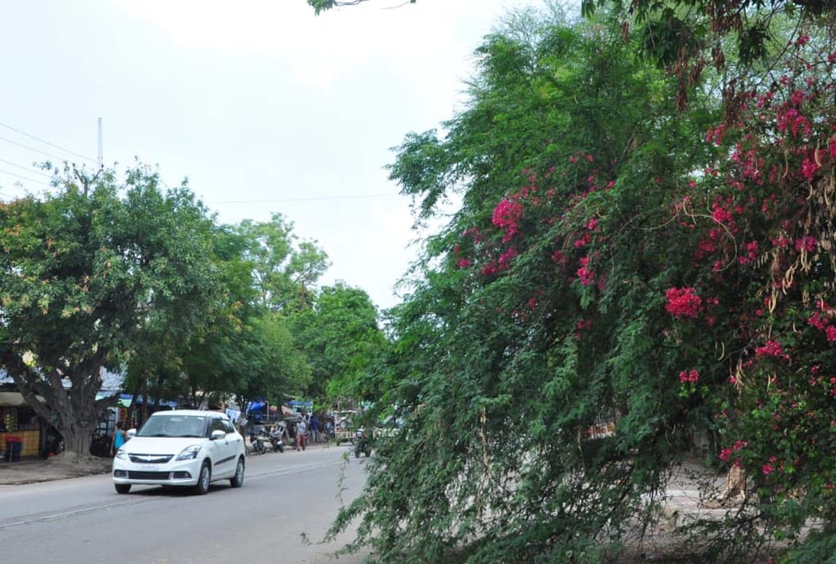 Weather Forecast Update Today in UP News: Weather news, Monsoon in up