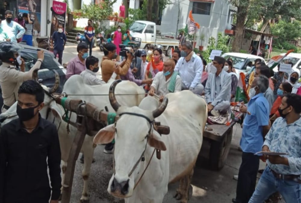 petrol diesel price hike, uttarakhand ex cm harish rawat unique protest