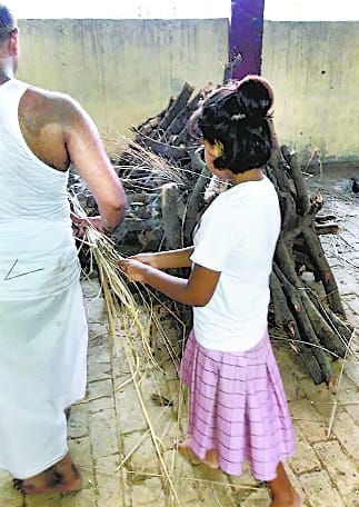 Experts fail strategy ahead of tigress