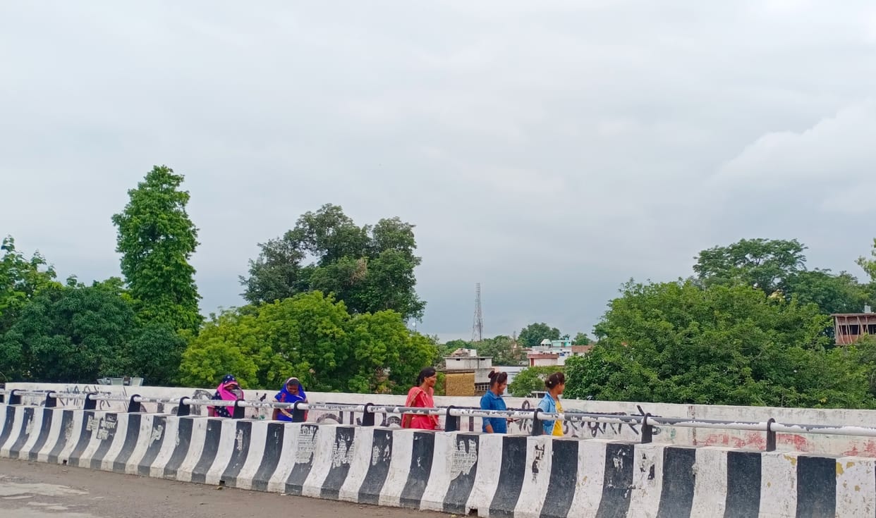 On Sunday night, the torrential rain blossomed the faces of the farmers, the clouds remained cloudy throughout the day on Monday