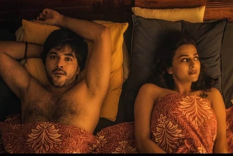 Indians Fans Want to Boycott Netflix Krishna and His Leela for Hurting Hindu Sentiments