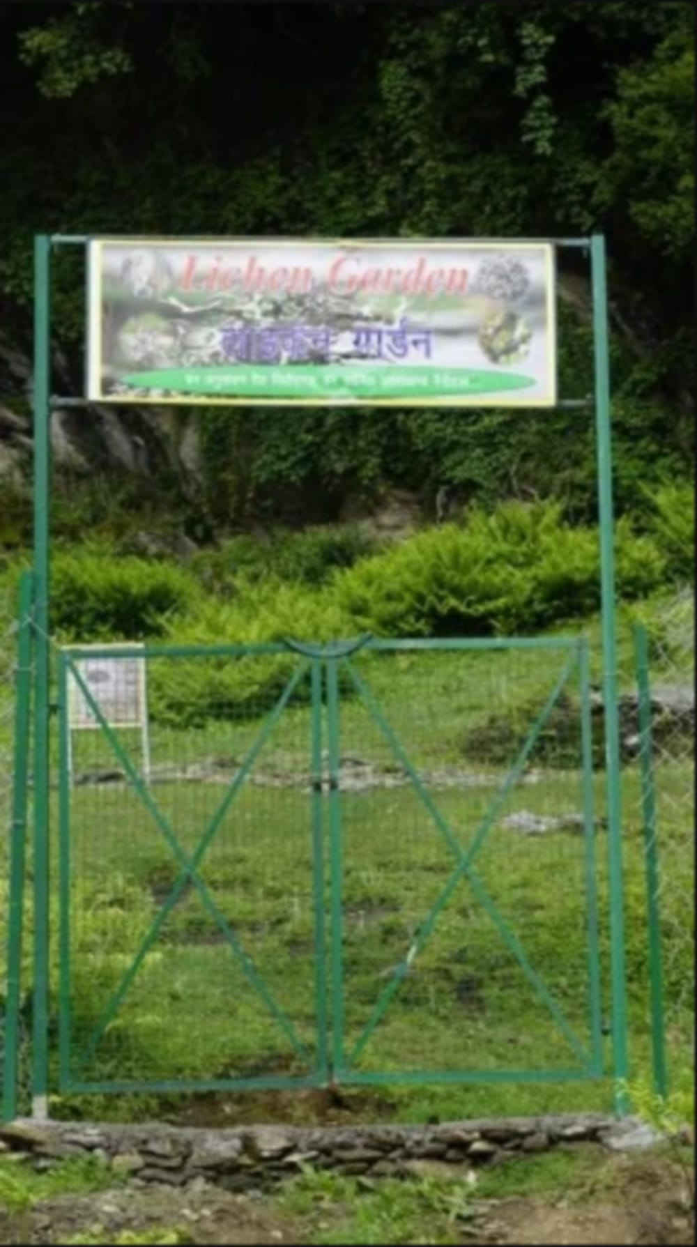 Country's first lichen garden was prepared in Munsiyari