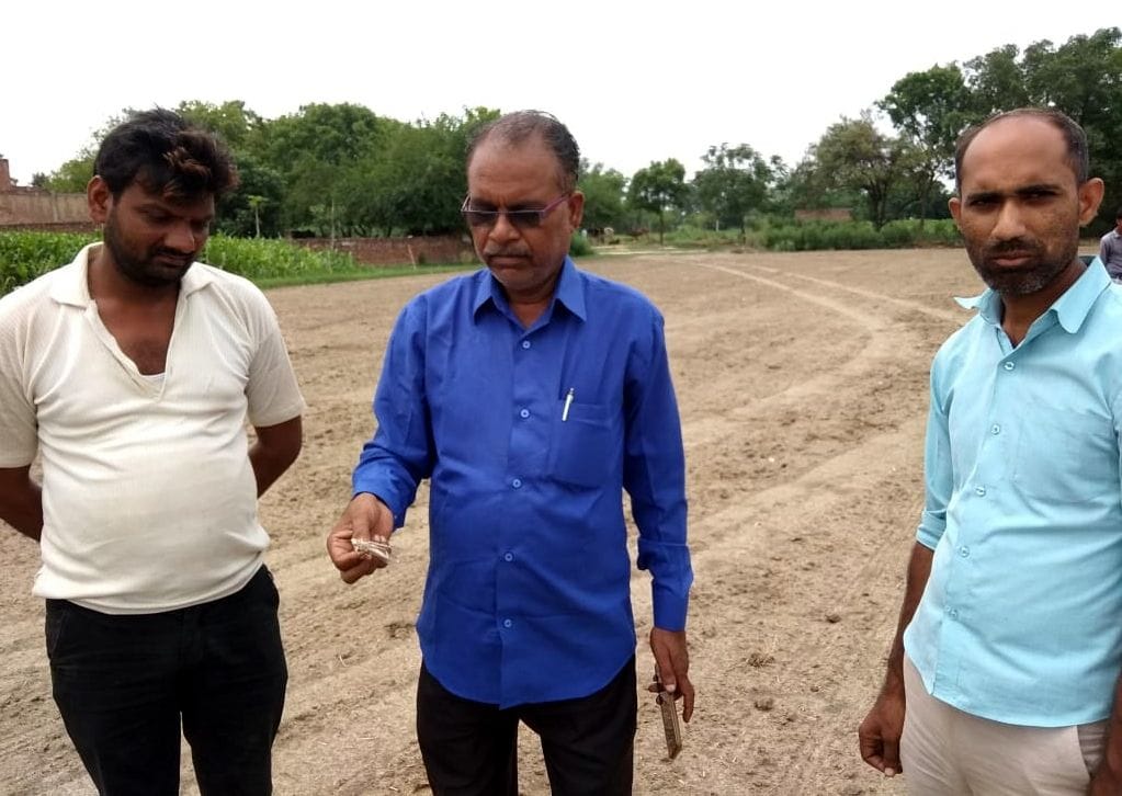 Locust knocked in six villages, farmers panic