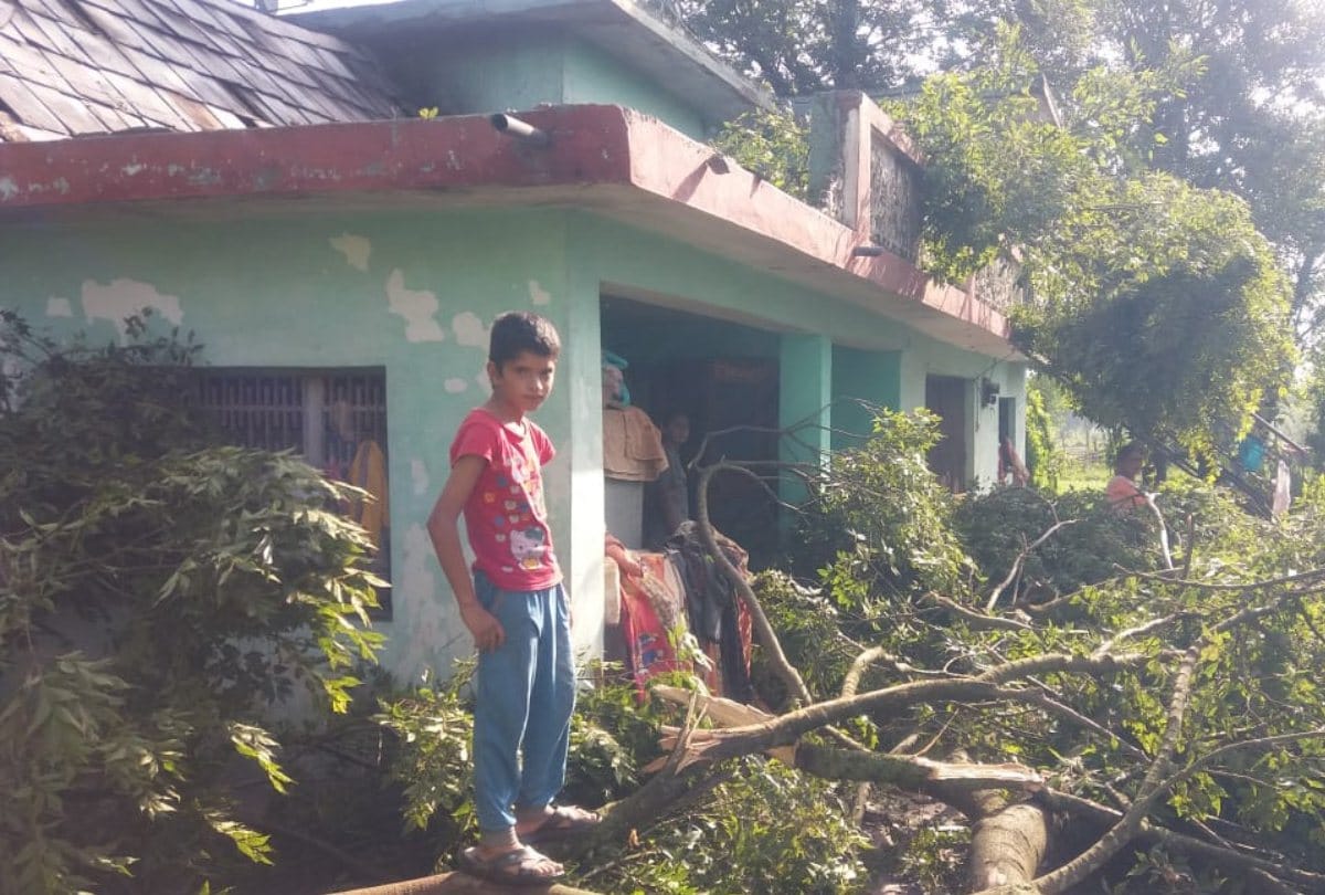 Heavy storm in mandi himachal pradesh rain damage crops in kangra