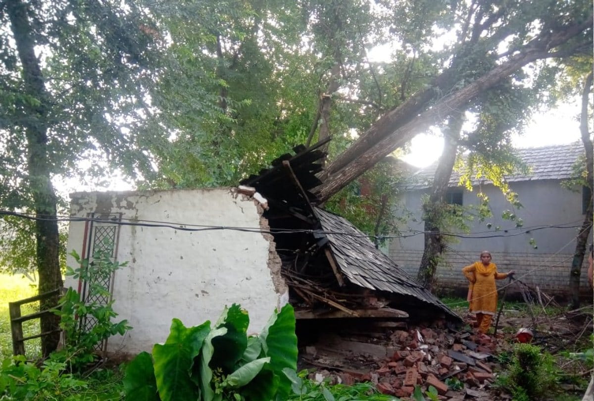 Heavy storm in mandi himachal pradesh rain damage crops in kangra