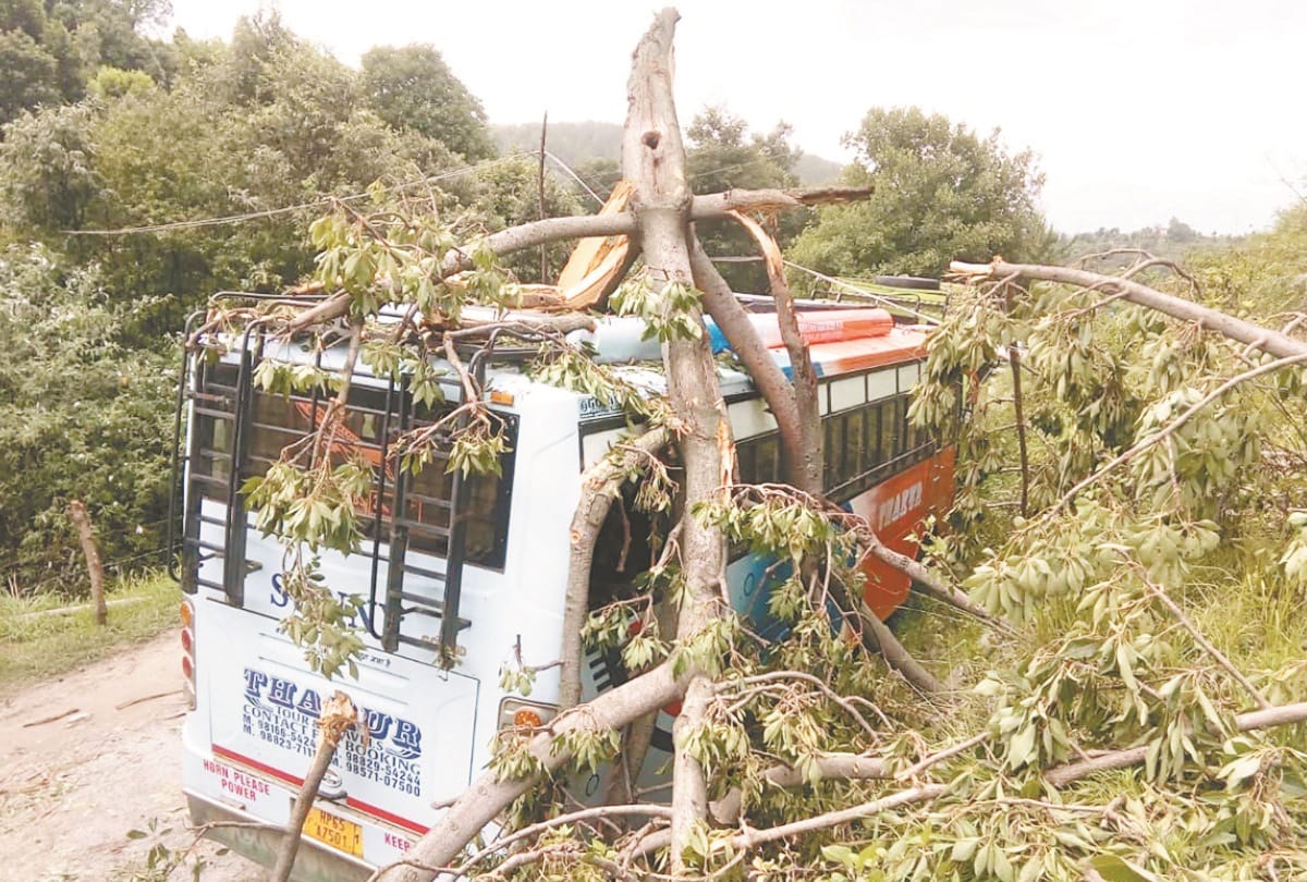 Himachal News: Heavy Rain Storm Hailstorm damaged crops houses vehicles