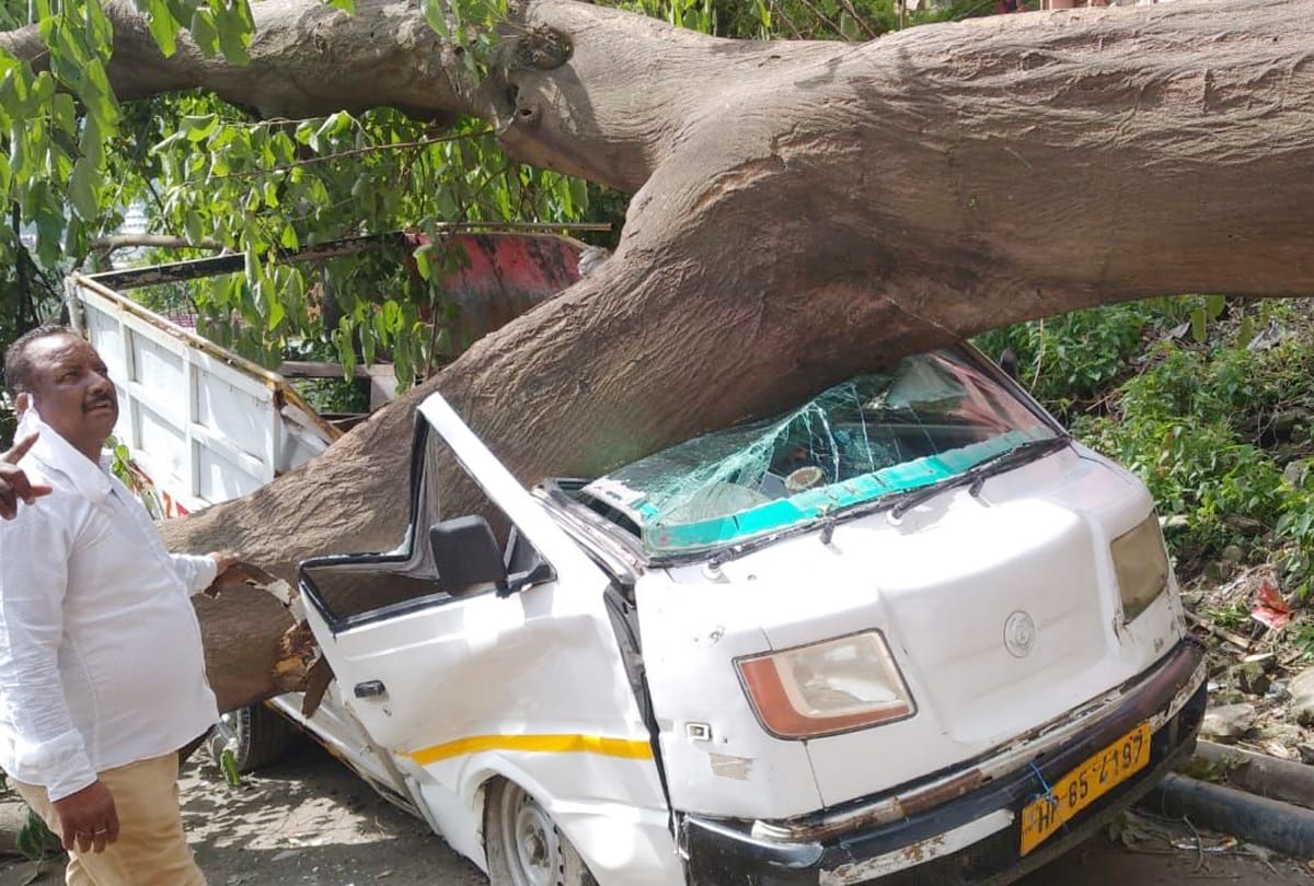 Himachal News: Heavy Rain Storm Hailstorm damaged crops houses vehicles