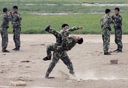PLA martial art