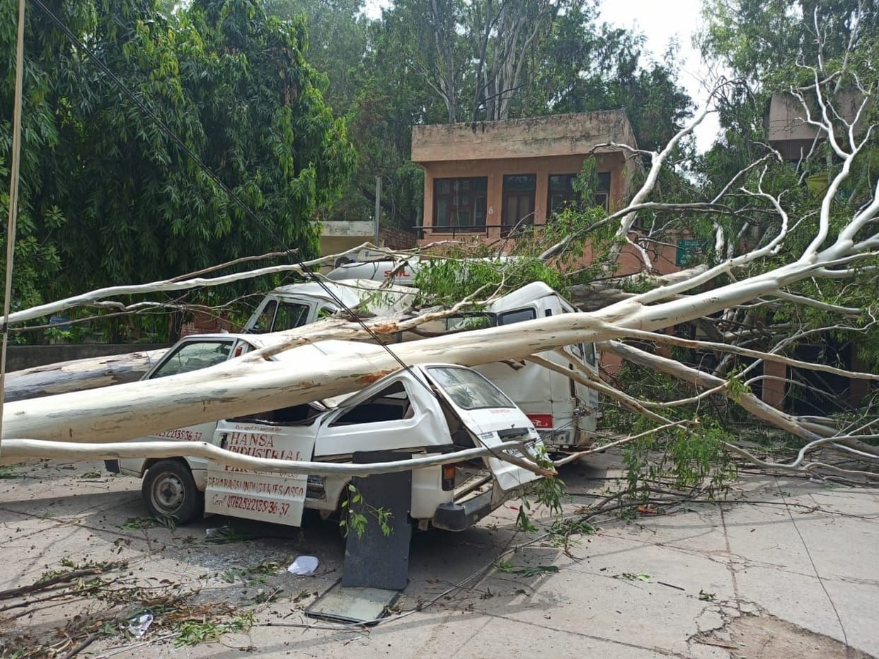 Late night storm created chaos, uprooted trees and fell on ambulance