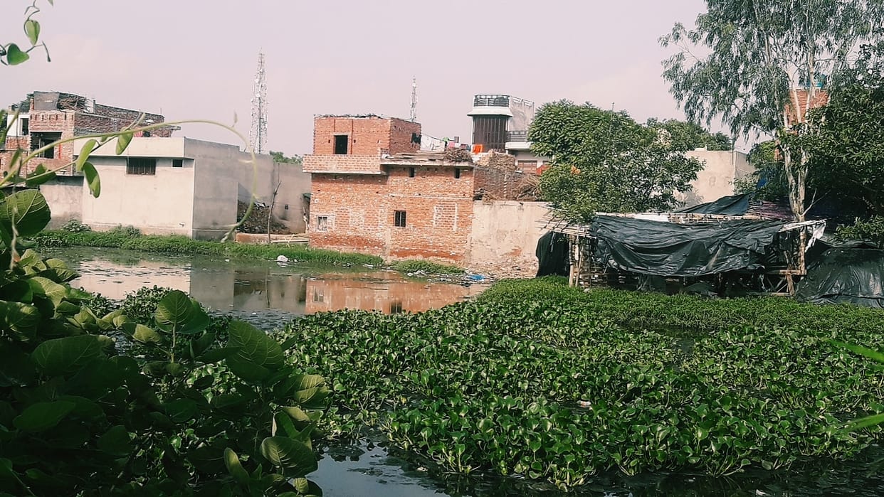 Illegal possession of pond land in Meerapur