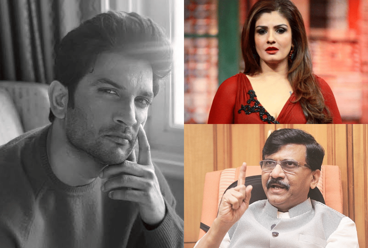 Sanjay Raut Has Questioned Investigation On Sushant Singh Rajput and Pakistan Stock Exchange Attack Raveena Tandon Reaction entertainment news