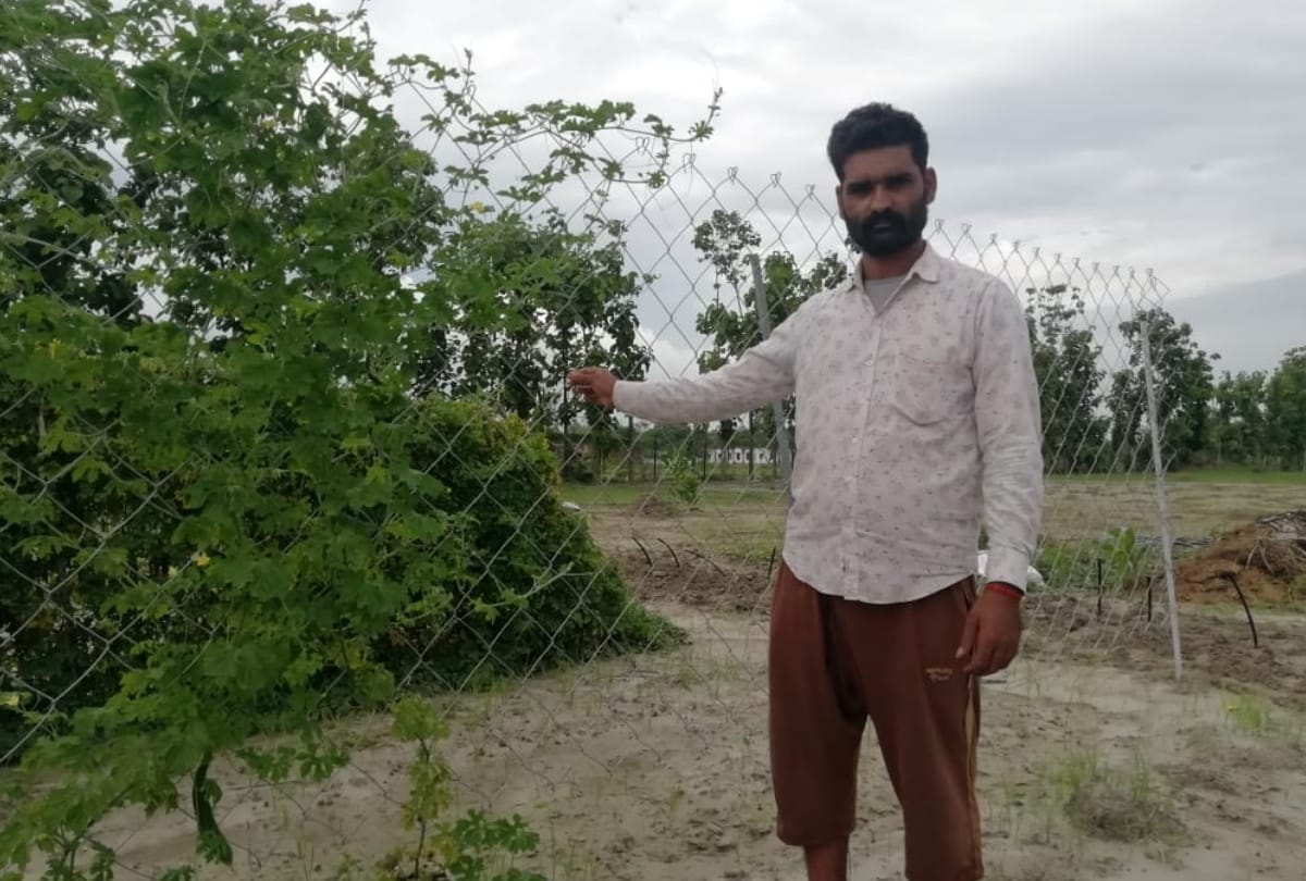 story of farmer hard working for agriculture in deoria